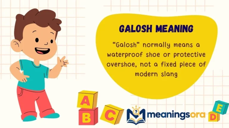 Galosh Meaning