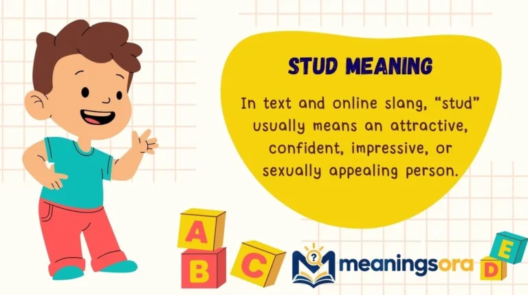 Stud Meaning