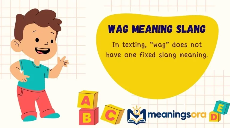 WAG Meaning Slang